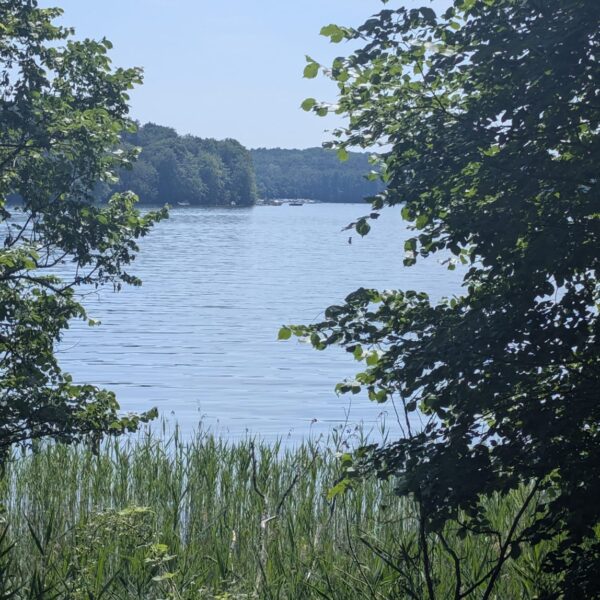 careleaver-festival-2026-blick-werbellinsee