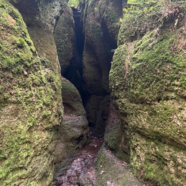 Engste Stelle der Schlucht: Ein rötlicher Bach fließt zwischen dicht beieinanderstehenden, bemoosten Felsen.