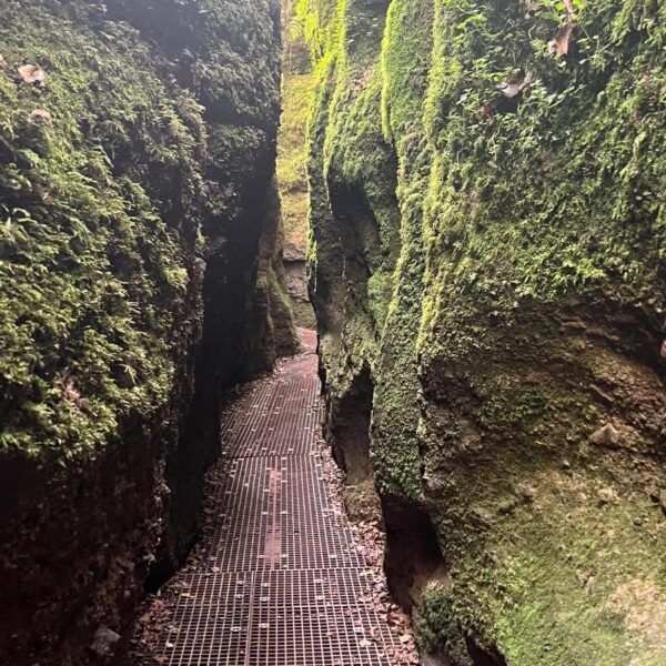 Ein Gitterrost-Weg schlängelt sich zwischen hohen, moosbewachsenen Felswänden durch die schmale Schlucht.