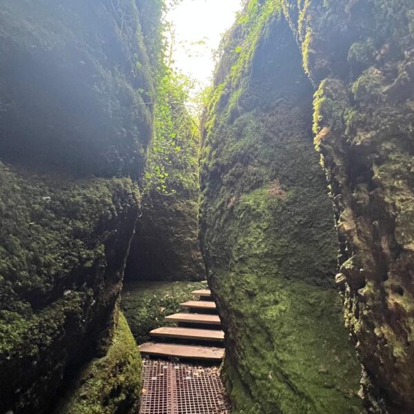 Blick durch die enge, bemooste Drachenschlucht: Ein Gitterrost-Steg und Holzstufen führen auf das Licht zu.