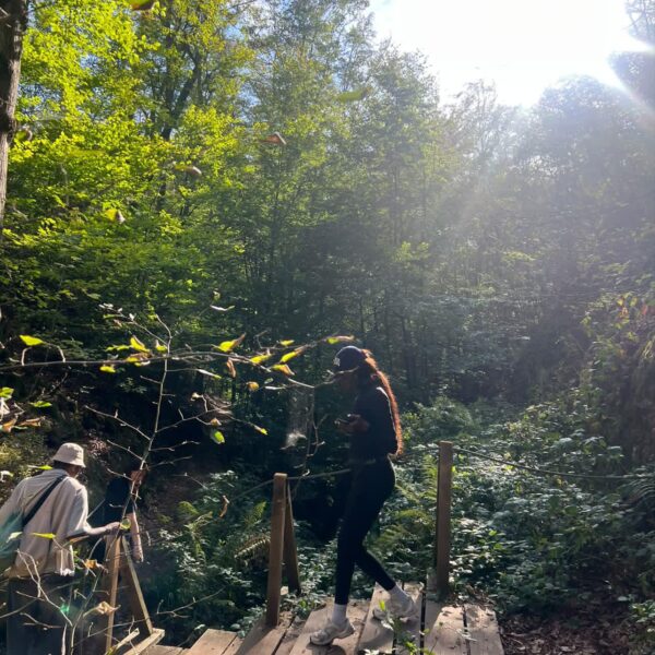 Teilnehmende überqueren eine kleine Holzbrücke im sonnendurchfluteten Wald.