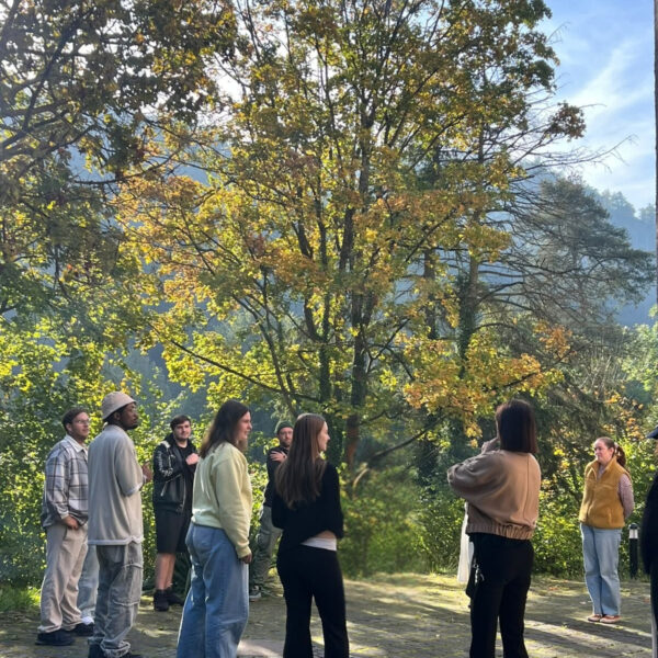 Teilnehmende stehen in einer lockeren Runde auf einem gepflasterten Platz unter einem herbstlich gefärbten Baum im Sonnenlicht.