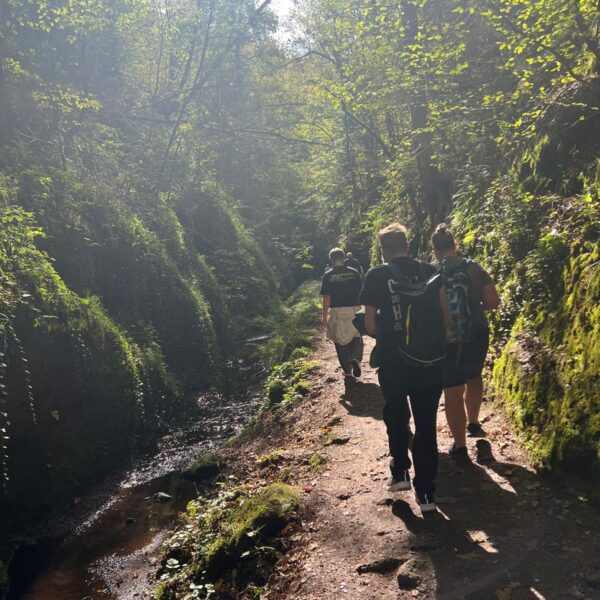 Wandergruppe von hinten auf einem Pfad entlang eines Bachs durch eine bemooste Schlucht, Sonnenlicht fällt durch die Bäume.