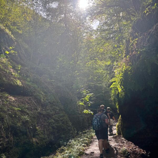 Drei Wandernde von hinten auf einem Waldpfad zwischen bemoosten Hängen, die Sonne scheint durch die Baumkronen.